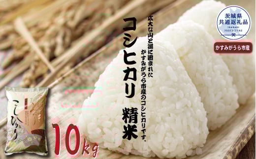 コシヒカリ 精米10kg 茨城県共通返礼品 かすみがうら市産 米 精米 コシヒカリ米 茨城県産 共通返礼品 白米 コシヒカリ お米 コメ おこめ こめ こしひかり 有機 ブランド 健康 ギフト 贈り物 A59-007
