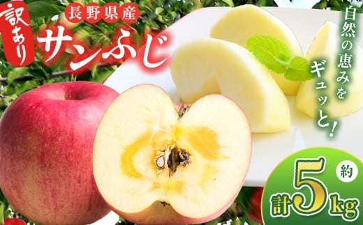  【2025年先行予約】 訳あり 信州産 サンふじ 5kg ｜ ベジサコ リンゴ りんご 林檎 果物 フルーツ 果実 果汁 サンふじ さんふじ わけあり 訳アリ 訳あり 長野県 松川村 信州