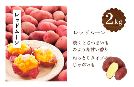 【R6年収穫分】　ナツやさい　秋の旬　じゃがいも２種食べ比べ　５kg　さの農場 /006-22292-b01A