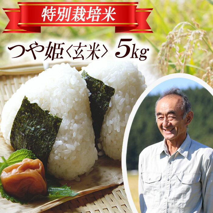 【ふるさと納税】つや姫 玄米 5kg×1袋 令和7年産米 特別栽培米 山形県遊佐産 鳥海山の恵 東北 遊佐町 庄内地方 庄内平野 米 お米 庄内米 ごはん ご飯
