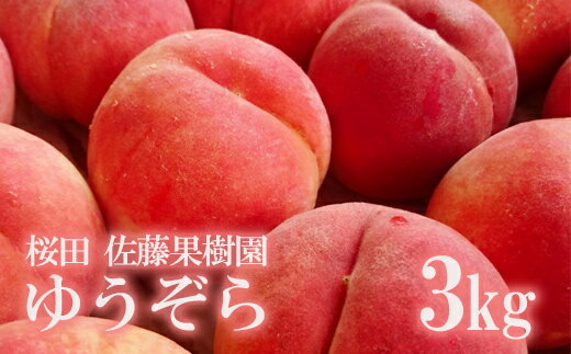 【ふるさと納税】No.1203福島の桃　「ゆうぞら」約3kg【2025年発送】