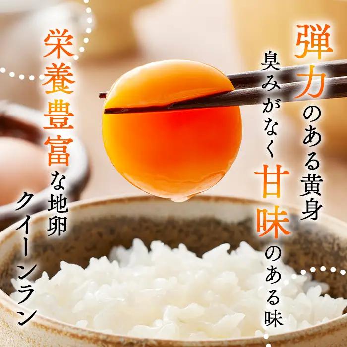 【毎月定期便】黄身がつかめる新鮮地たまご クイーンラン 赤玉 75個入り全10回 No.595