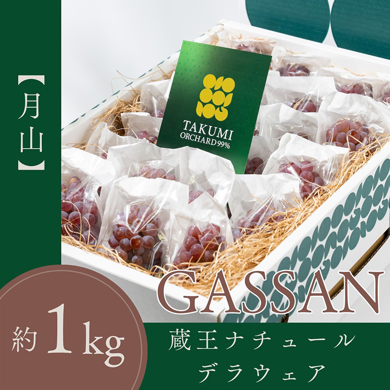 【月山 GASSAN】蔵王ナチュールデラウェア 山形のデラウエア TAKUMI ORCHARD 99% 贈答 L以上 約1kg 山形 山形県 山形市 フルーツ 果物 くだもの 送料無料 ぶどう 葡萄 ブドウ デラウェア 減農薬【令和8年産先行予約】FS25-119
