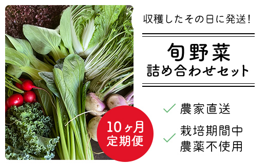 【10ヶ月 定期便】農家直送！【栽培期間中農薬不使用】季節の新鮮野菜「９品」詰め合わせセット オーガニックファーム AIBA FARM TML004 / 野菜セット 無農薬 野菜 千葉県 富里市 直送