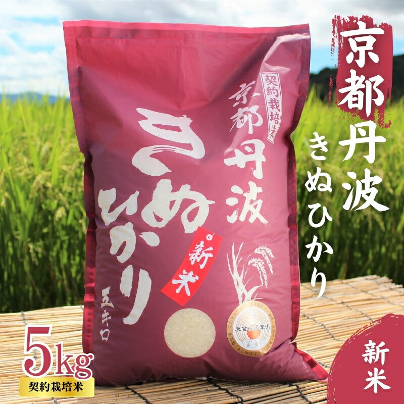 【ふるさと納税】令和7年産 京都丹波産 きぬひかり 5kg 契約栽培米 白米 精米 お米 こめ コメ キヌヒカリ 令和7年 ご飯 ごはん 京都 京都府 南丹市　お届け：寄附受付後20日で発送