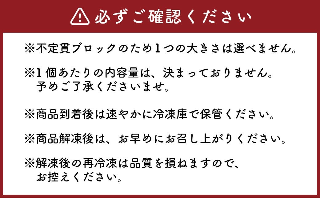 【定期便4回】 【フジチク ふじ馬刺し】 国産 馬刺し 赤身 400g（約100g×4個）×4回 計1.6kg