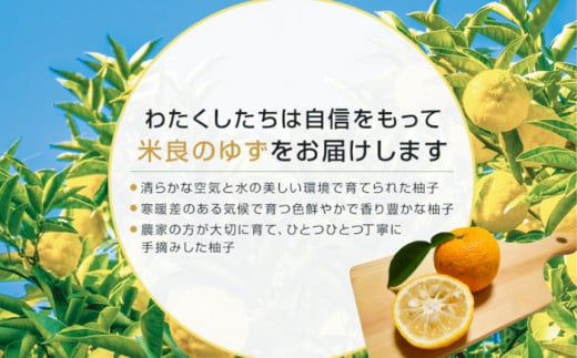 ゆずハーベスト 6本セット
