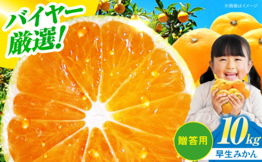 【贈答用】 早生 みかん 10kg 愛媛県大洲市/有限会社西山青果[AGAR009] 先行予約 みかん ミカン 蜜柑 温州ミカン 温州みかん 果物 くだもの フルーツ 愛媛県産 大洲市産 産地直送 おすすめ 人気 お取り寄せ 送料無料 贈答 ギフト