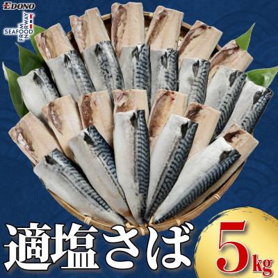 ふるさと納税 銚子市 適塩さば　5kg