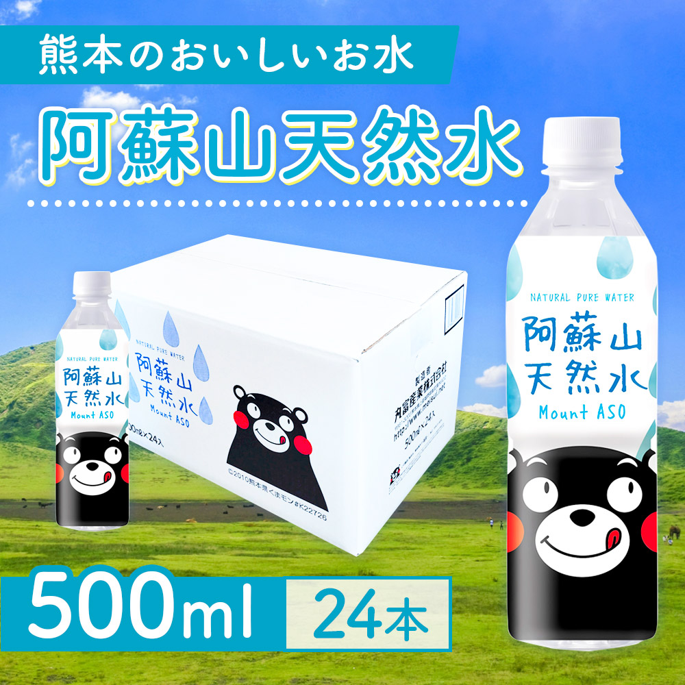 【3カ月定期便】熊本のおいしいお水 阿蘇山天然水 500ml 1ケース×3回(72本) CA007