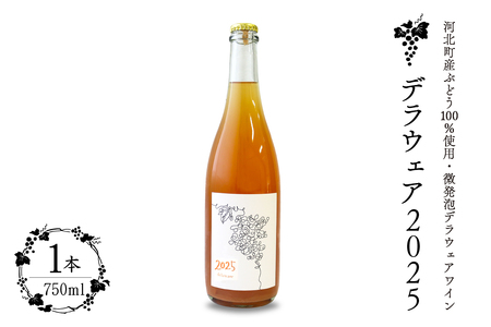 【河北町産ぶどう100％使用・微発泡デラウェアワイン】Delaware 2025（750ml×1本）【かほくらし社】  ka019-012j001-2025