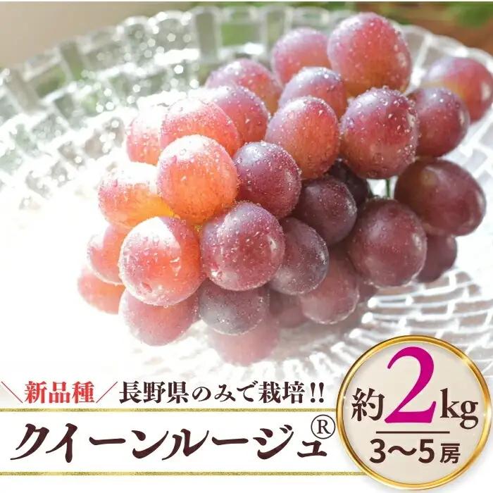 クイーンルージュ® 約2kg（4~6房）※最低1.8kg以上｜ ぶどう