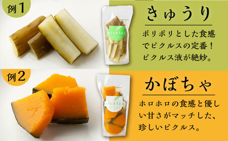 【4回定期便】季節のピクルス 4種セット [UDD004] ピクルス ピクルスセット ピクルス4種 季節のピクルス 旬野菜ピクルス ピクルス定期便
