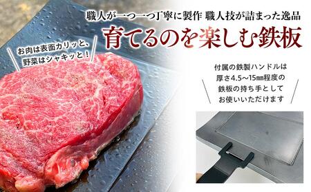 ミニ鉄板（極）ハンドル付き〈羽咋工業〉1枚 ADK0002