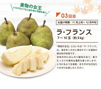 SE0221　【3回定期便】酒田から秋のフルーツ定期便2024 (刈屋梨、庄内柿、ラ・フランス)