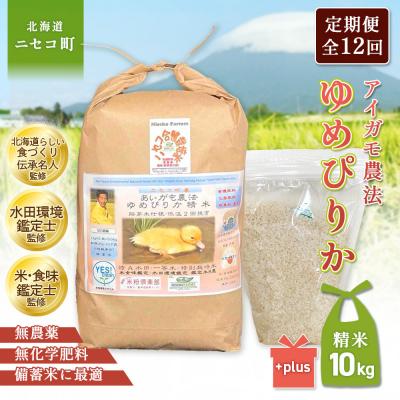 ふるさと納税 ニセコ町 《数量限定先行受付!令和8年産米》【12回定期便】ゆめぴりか胚芽米仕様精米10kg【3112803】