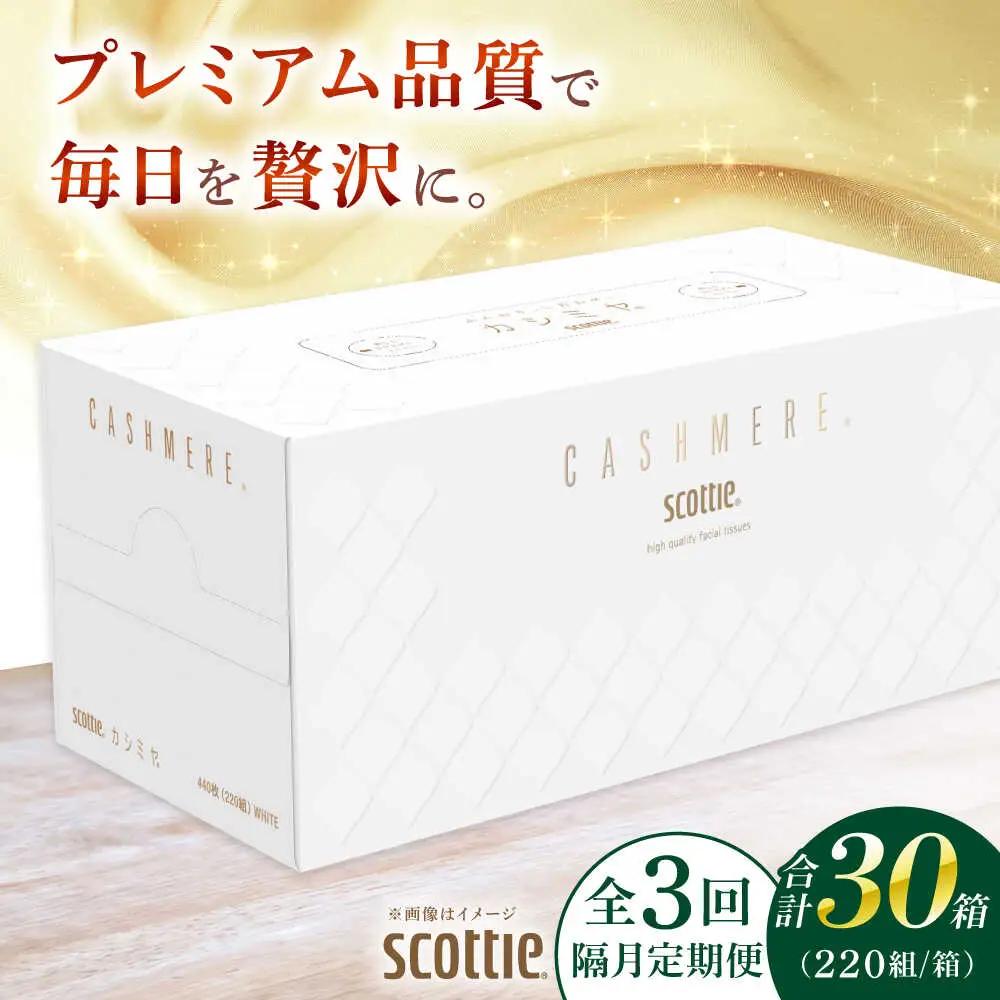 【全3回定期便(2ヵ月に1回)】カシミヤ スコッティ 10箱 ティッシュ ペーパー [BDAM033]