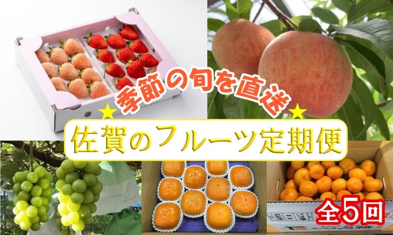 
                  【定期便セット】佐賀のフルーツ定期便 年5回（いちご、桃、シャインマスカット、柿、みかん）
                