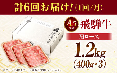 【6回定期便】飛騨牛肩ロース 1.2kg(400ｇ×3パック) すき焼きしゃぶしゃぶ用肉 [AVBO037]