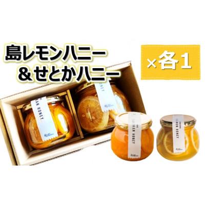 ふるさと納税 今治市 島レモンハニー&amp;せとかハニーセット(株式会社M.S.NAVY)【VB00930】