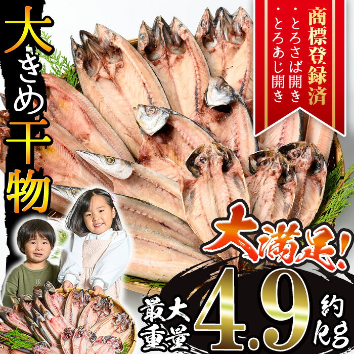 【ふるさと納税】＜選べる＞大きめ干物詰合せ(合計約2kg～4.9kg) 干物 セット 詰め合わせ ひもの 魚介類 魚 おかず おつまみ お楽しみ アジ サバ とび魚 かます ほっけ 2kg 3.6kg 4.9kg【みのだ食品】