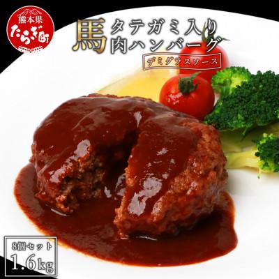 ふるさと納税 多良木町 タテガミ入り馬肉ハンバーグ 計1.6kg(200g×8個)(多良木町)