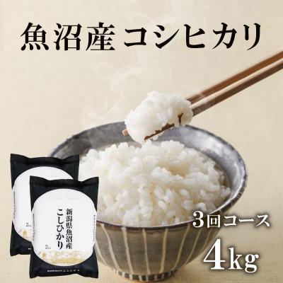ふるさと納税 十日町市 【毎月定期便】魚沼産コシヒカリ　精米4kg(2kg×2袋)全3回