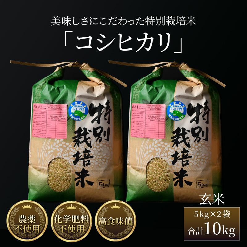 【令和6年産 新米】コシヒカリ 玄米 5kg×2袋（計10kg） 特別栽培米 農薬不使用 化学肥料不使用 ／ 高品質 鮮度抜群 福井県産 ブランド米