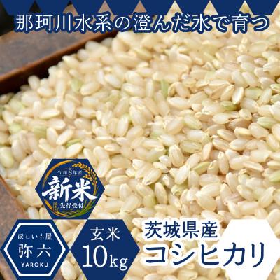 ふるさと納税 ひたちなか市 【先行予約・9月以降順次発送】令和8年ひたちなか市産　コシヒカリ(玄米)【10kg】
