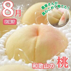 【全2回】かつらぎ町のフルーツ定期便（桃・梨）【8月・9月】【tkb426】