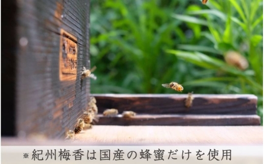 【紀州南高梅使用】はちみつ梅干し 無添加 つぶれ梅 低塩6％ 1kg ｜ 紀州南高梅 和歌山県産 みなべ町 無添加 塩分控えめ 訳あり 梅干し 梅干 うめぼし はちみつ梅 はちみつ 化学調味料不使用 【baiko001A】 ［KU1］
