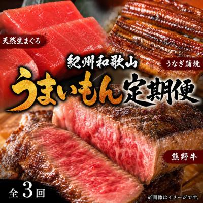ふるさと納税 由良町 【毎月定期便】紀州和歌山うまいもんセットA(生まぐろ・うなぎ蒲焼・熊野牛)全3回