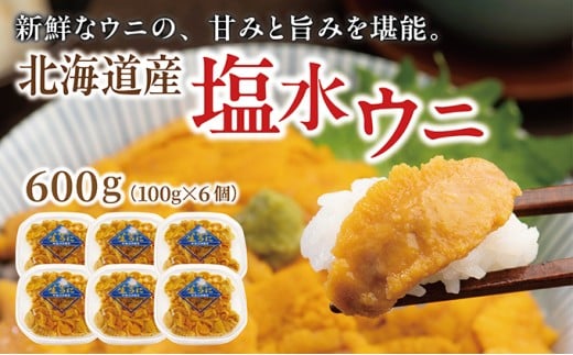 塩水ウニ 100g×6個 ふるさと納税 人気 おすすめ ランキング うに ウニ 雲丹 ムラサキウニ バフンウニ 生鮮 無添加 魚介類 塩水 生食 北海道 松前町 送料無料 MATM003