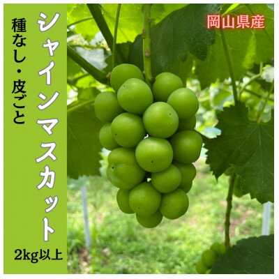 【ふるさと納税】【2026年先行予約】岡山のぶどう(シャインマスカット)2kg(3～5房)_ ぶどう ブドウ シャインマスカット 緑ぶどう 種なし たねなし 2kg セット 果物 フルーツ 贈答 ギフト 人気 岡山県 津山市 送料無料 【配送不可地域：離島】【1617939】
