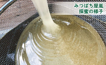国産純粋はちみつ 嵐 の はちみつ 天然 100％ 宇和島 百花蜜 みつばち屋嵐 非加熱 蜂蜜 人気 国産蜂蜜 天然蜂蜜 天然はちみつ 百花蜂蜜 百花はちみつ ピュア ハニー パン ジャム 国産 愛媛