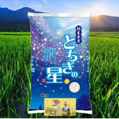ふるさと納税 さくら市 【令和7年産新米】栃木県産とちぎの星 精米5kg　栃木県共通返礼品・栃木県産