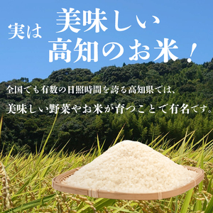 令和6年 新米 コシヒカリ 米 5kg 白米 こしひかり  高知 須崎産 産地直送 米 こしひかり 新米 おにぎり白米 新米 米 米 米 米 米 米 米 米 米 米 米 米 米 米 米 米 米 米 米