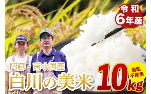 令和６年産 白川の美米 １０kg 令和6年産 南小国産 玄米 白米 3分づき 5分づき 7分づき 森のくまさん 精米 米 5kg 2袋 お米 ご飯 ごはん 無農薬 農薬不使用 自然栽培 産地直送 熊本 南小国 送料無料