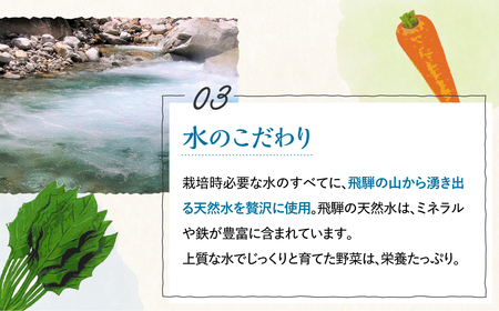 《期間限定》無農薬栽培 受賞農家 野菜セット 6品 お野菜のレシピ付き [Q234re]