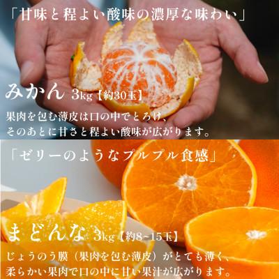ふるさと納税 八幡浜市 【発送月固定定期便】愛媛フルーツ旬の柑橘 みかん・まどんな 各3kg【G70-78】全2回 |  | 01