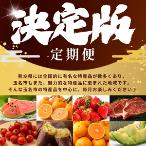 【 定期便 3回 】 熊本県 決定版 |（ いちご みかん 不知火 デコポン スイカ メロン あか牛 牛肉 海苔 焼き海苔 馬肉 ウインナー 馬刺し 餃子 かんしょ さつまいも ） 肉 果物 フルーツ