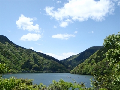 【丹沢湖畔の蕎麦宿　落合館】一泊二食付き宿泊券　丹沢湖畔でのんびり過ごす休日　３名様【 宿泊券 旅行 体験 チケット 3名 夕食朝食付 神奈川県 山北町 】