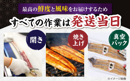 国産活うなぎ2尾（白焼） 滋賀県長浜市/株式会社魚三[AQDF011]