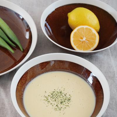 ふるさと納税 多治見市 【美濃焼】TLPリムバンド オートミル(ブラウン)4枚セット【軽量食器】 |  | 02