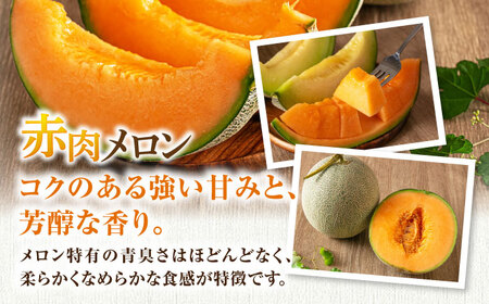 【2026年7月下旬以降順次発送】【ニセコ町産】 赤肉＆青肉メロンセット 大玉2玉 《喜茂別町》【ニセコビュープラザ直売会協同組合】 メロン 化粧箱入り フルーツ 果物 赤肉 先行予約 常温 常温配送