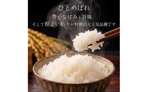 【 令和8年産 】 新米 ひとめぼれ 15kg 宮城県 石巻市産 精米 鮮度優先 米 お米 白米 ブランド米 単一原料米 産地直送 ごはん お弁当 宮城県 石巻市