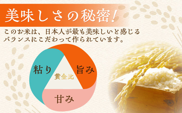 お米 米 ご飯 白米 白ご飯  無洗米 ごはん コメ お弁当 精米 精白米 さがびより 8㎏
