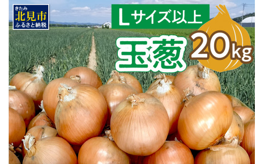 【予約：2025年11月から順次発送】玉葱 20kg Lサイズ以上 ( 玉ねぎ たまねぎ 野菜 20キロ 期間限定 ふるさと納税 玉ねぎ生産量日本一 北見市産 )【148-0007-2025】