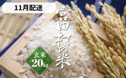 【予約受付】【令和７年米】【新米】長野県産　減農薬栽培(栽培期間中)コシヒカリ／玄米／20kg・40,000円／11月配送