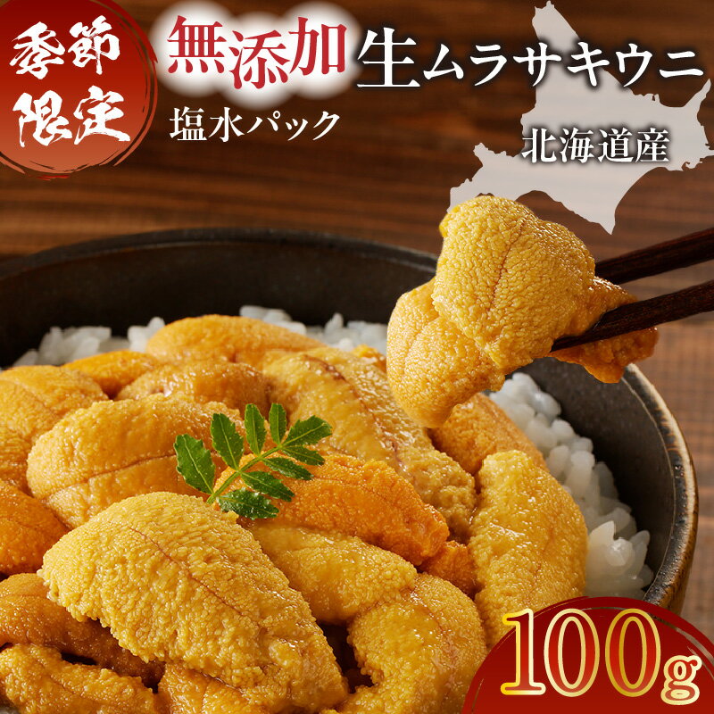 【ふるさと納税】 無添加 生ムラサキウニ 塩水パック セット 100g 生 ムラサキウニ うに ウニ 雲丹 海産物 季節限定 生食用 北海道産 さっぱり旨味 甘味 贅沢 ちらし寿司 美味しい 新鮮 丸恭水産 北海道 苫小牧市 おすすめ ランキング プレゼント ギフト